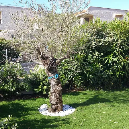 Bilocale Con Giardino Privato, Terrazza Vista Mare E Incantevoli Tramonti Sul Promontorio Di Capo Testa - Iun Q2226